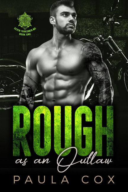 Rough as an Outlaw (Book 1) - Paula Cox