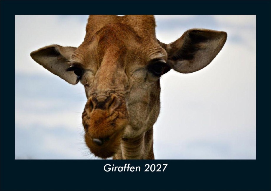 Giraffen 2027 Fotokalender DIN A5 - Tobias Schmitt, Kevin Heber