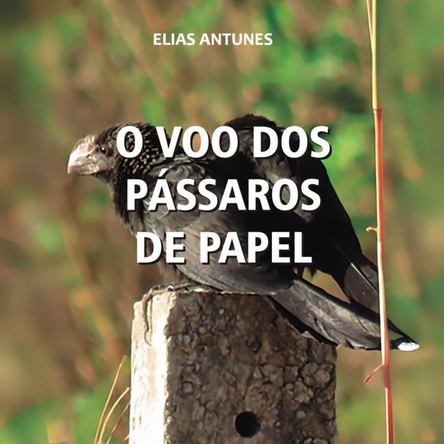O voo dos pássaros de papel - Elias Antunes