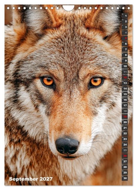 InsideView 14