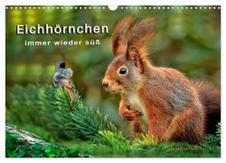 Cover-Bild zum Titel 'Eichhörnchen - immer wieder süß (Wandkalender 2026 DIN A3 quer), CALVENDO Monatskalender' von 'Peter Roder'