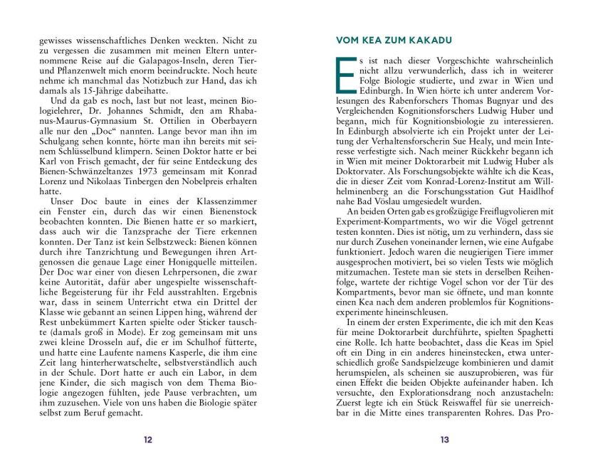 InsideView 6