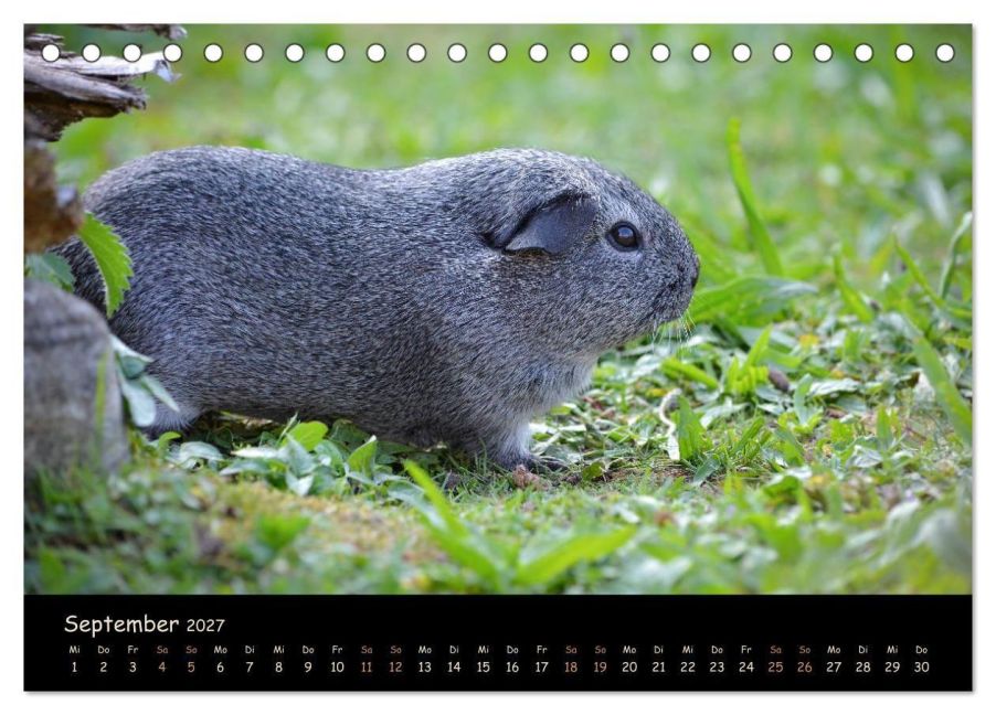 InsideView 14