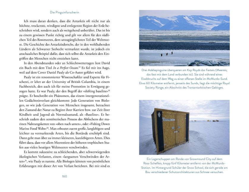 InsideView 11