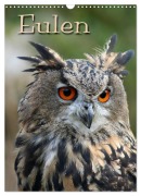 Cover-Bild zum Titel 'Eulen (Wandkalender 2027 DIN A3 hoch), CALVENDO Monatskalender' von 'Pferdografen. de Martina Berg Antje Lindert-Rottke'