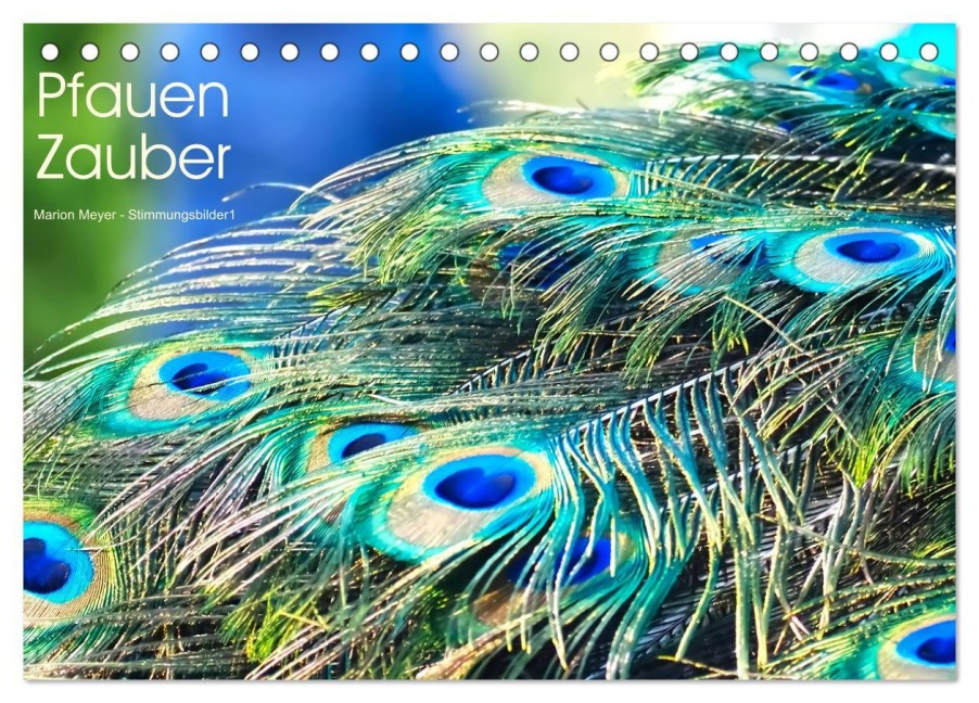 Pfauen Zauber (Tischkalender 2026 DIN A5 quer), CALVENDO Monatskalender - Marion Meyer - Stimmungsbilder1