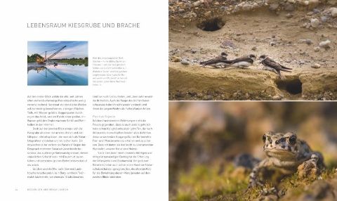 InsideView 3
