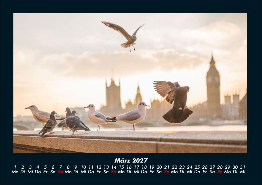 InsideView 7