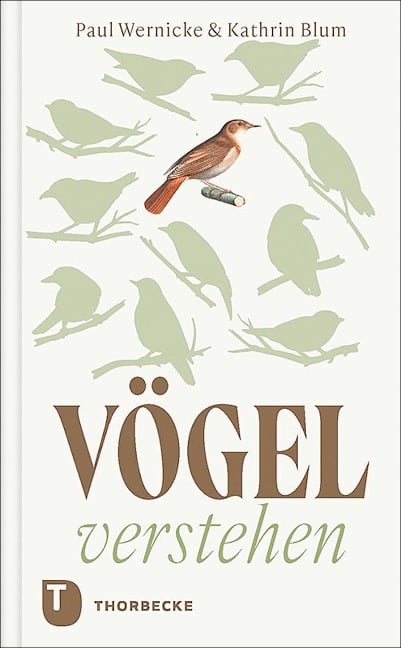 Vögel verstehen - Paul Wernicke, Kathrin Blum