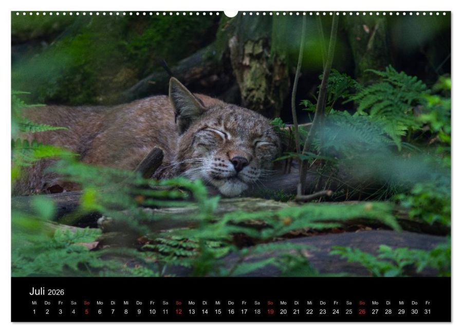 InsideView 12