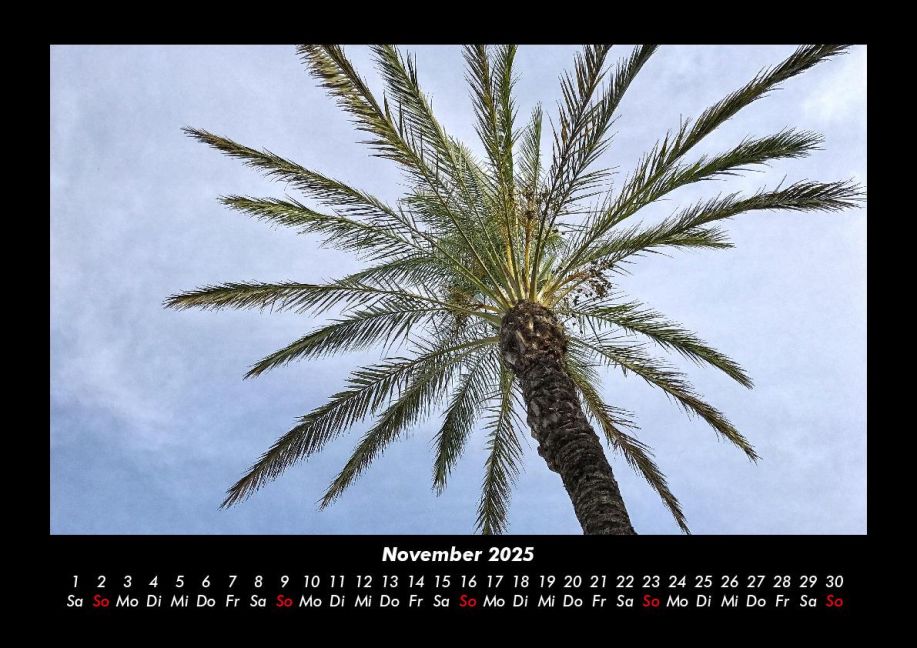 InsideView 3