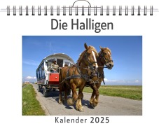 Cover-Bild zum Titel 'Die Halligen - (Wandkalender 2025, Kalender DIN A4 quer, Monatskalender im Querformat mit Kalendarium, das perfekte Geschenk)' von 'Lena Krüger'