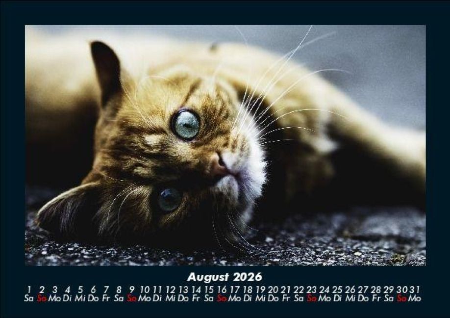 InsideView 12