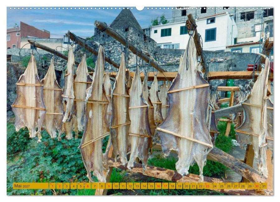 InsideView 9
