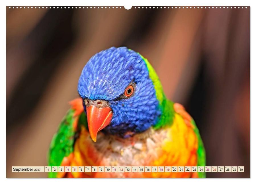InsideView 13