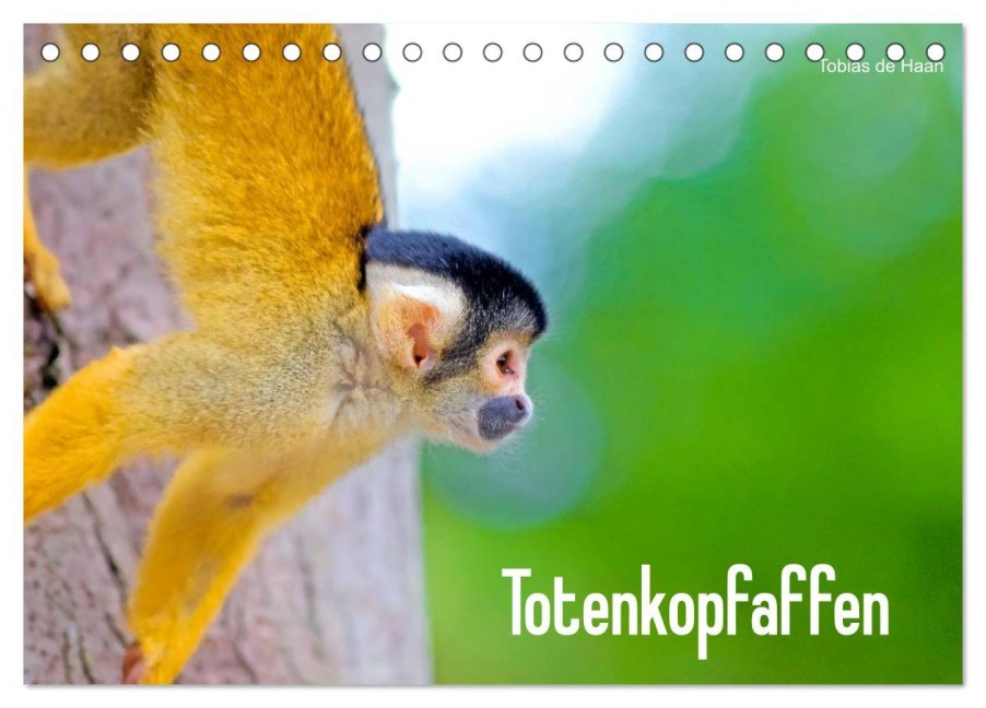 Totenkopfaffen (Tischkalender 2025 DIN A5 quer), CALVENDO Monatskalender - Tobias De Haan