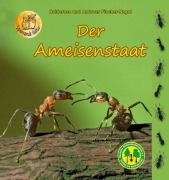Cover-Bild zum Titel 'Der Ameisenstaat' von 'Heiderose Fischer-Nagel, Andreas Fischer-Nagel'