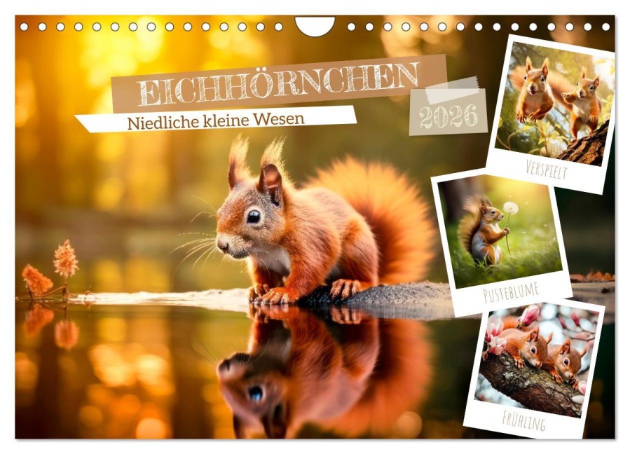 EICHHÖRNCHEN Niedliche kleine Wesen (Wandkalender 2026 DIN A4 quer), CALVENDO Monatskalender - Melanie Viola