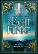 Cover-Bild zum Titel 'Nachtfunke' von 'Marion Hübinger'