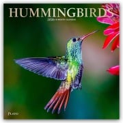 Hummingbirds - Kolibris 2026 - 16-Monatskalender - Browntrout Publishers