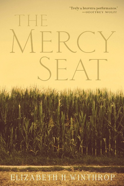 The Mercy Seat - Elizabeth H Winthrop
