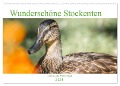 Wunderschöne Stockenten - Europäische Wasservögel (Wandkalender 2024 DIN A2 quer), CALVENDO Monatskalender - Sell Pixs:Sell