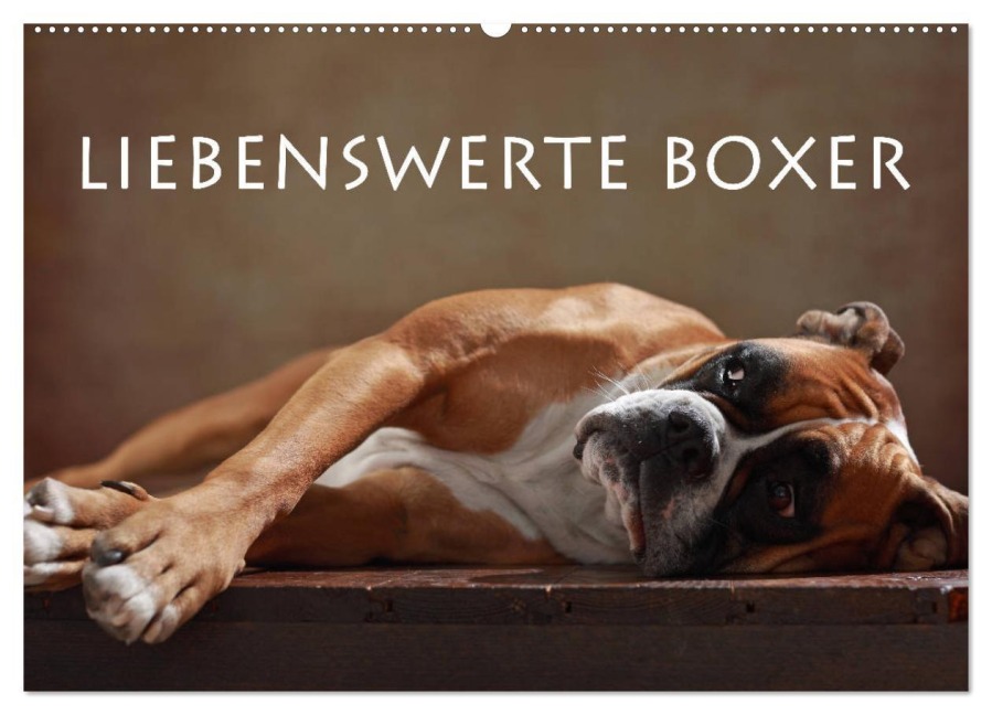 Liebenswerte Boxer (Wandkalender 2026 DIN A2 quer), CALVENDO Monatskalender - Jana Behr