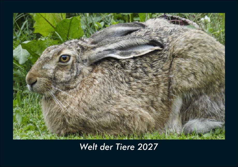 Welt der Tiere 2027 Fotokalender DIN A5 - Tobias Schmitt, Kevin Heber