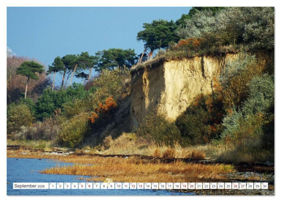 InsideView 14