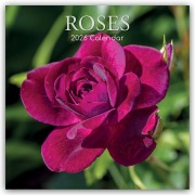 Roses - Rosen 2026 - 16-Monatskalender - Gifted Stationery Co. Ltd