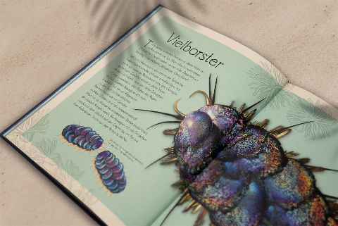 InsideView 8