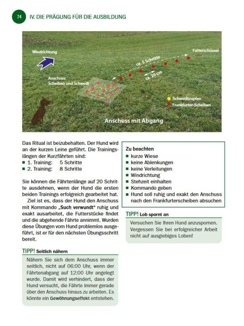 InsideView 3