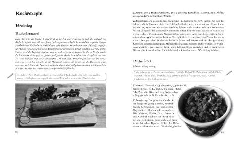 InsideView 5