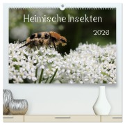 Cover-Bild zum Titel 'Heimische Insekten 2026 (hochwertiger Premium Wandkalender 2026 DIN A2 quer), Kunstdruck in Hochglanz' von 'Silvia Hahnefeld'