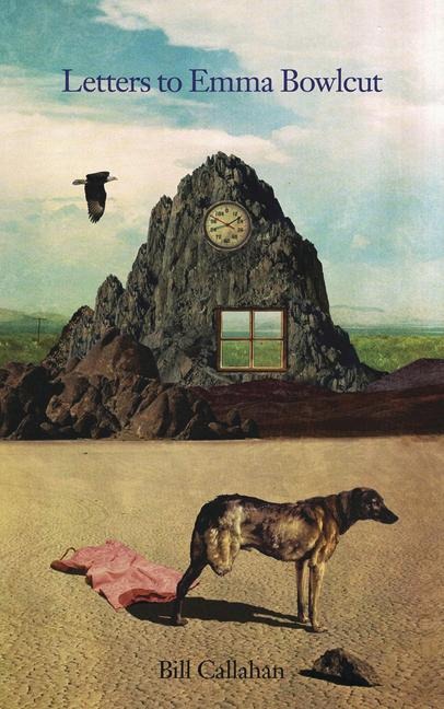 Letters to Emma Bowlcut - Bill Callahan