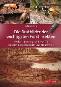 Cover-Bild zum Titel 'Die Brutbilder der wichtigsten Forstinsekten' von 'Wolfgang Rohe'