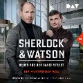 Cover-Bild zum Titel 'Sherlock & Watson ¿ Neues aus der Baker Street:Die mysteriöse Box (Fall 12)' von 'Viviane Koppelmann'