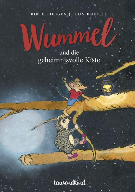 Wummel und die geheimnisvolle Kiste - Birte Kiesgen