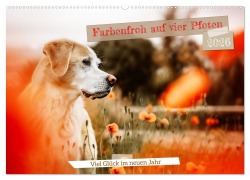 Farbenfroh auf vier Pfoten durch das neue Jahr 2026 (Wandkalender 2026 DIN A2 quer), CALVENDO Monatskalender - Sensiebelfotografie Saskia Katharina Siebel