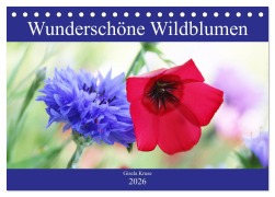 Wunderschöne Wildblumen (Tischkalender 2026 DIN A5 quer), CALVENDO Monatskalender - Gisela Kruse