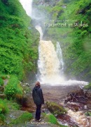 Cover-Bild zum Titel 'Traumzeit in Wales' von 'David Lindner, Doris Lindner'