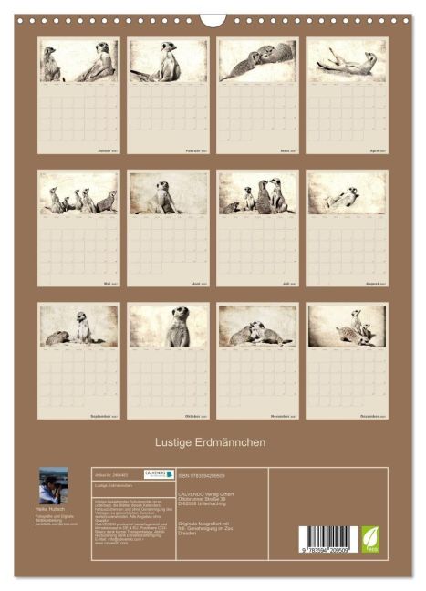 InsideView 5