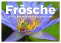 Frösche - Die wunderschöne Welt der bunten Hüpfer. (Wandkalender 2024 DIN A2 quer), CALVENDO Monatskalender - M. Scott