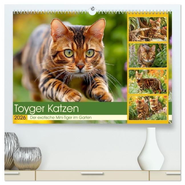 Toyger Katzen. Der exotische Mini-Tiger im Garten (hochwertiger Premium Wandkalender 2026 DIN A2 quer), Kunstdruck in Hochglanz - Rose Hurley