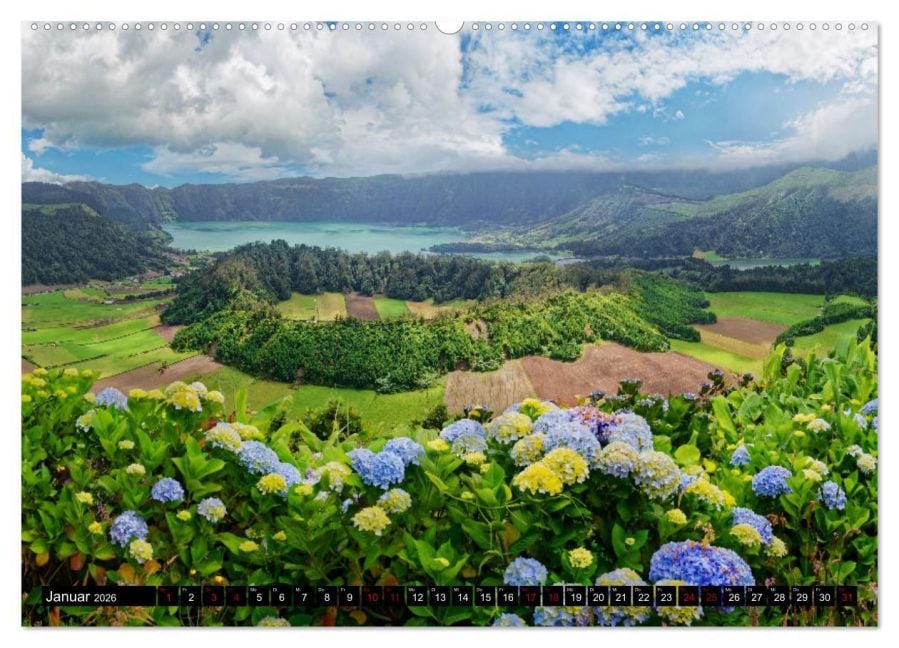 InsideView 5