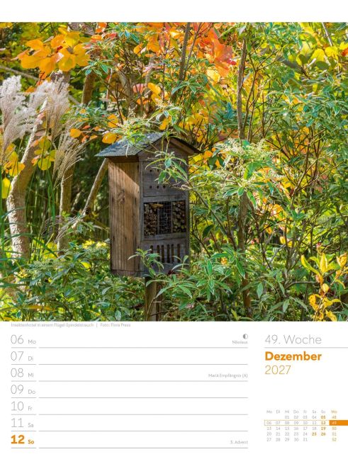 InsideView 53