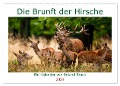 Die Brunft der Hirsche (Wandkalender 2024 DIN A2 quer), CALVENDO Monatskalender - Roland Brack