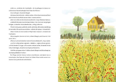 InsideView 6