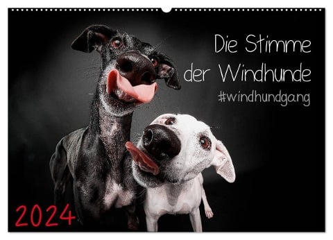 Die Stimme der Windhunde (Wandkalender 2024 DIN A2 quer), CALVENDO Monatskalender - Marcus Gier