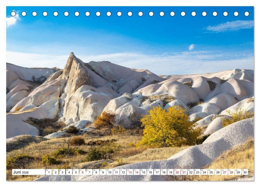 InsideView 11